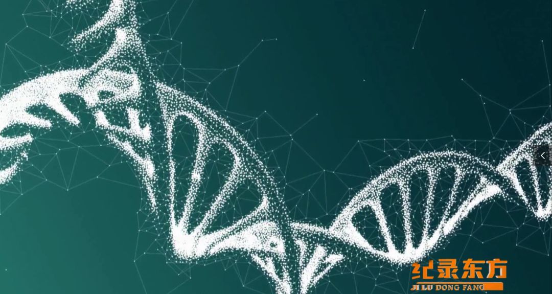 &#29233;&#28216;&#25103;&#23448;&#26041;&#32593;&#31449;&#45;&#29233;&#28216;&#25103;&#20840;&#31449;&#65;&#80;&#80;&#40;&#97;&#121;&#120;&#41;&#20013;&#22269;&#23448;&#26041;&#32593;&#31449;